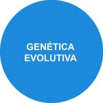 EVOLUTIVA