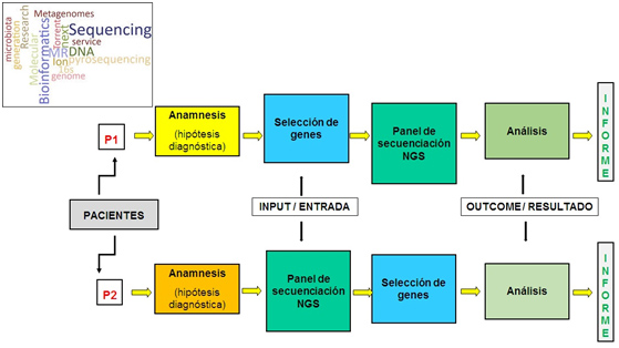 apiclinics4