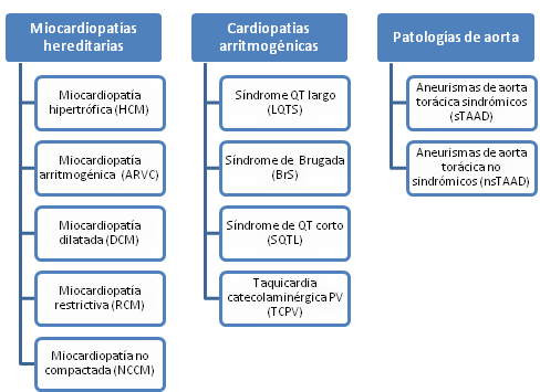 tabla cardio