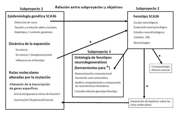 ataxia3