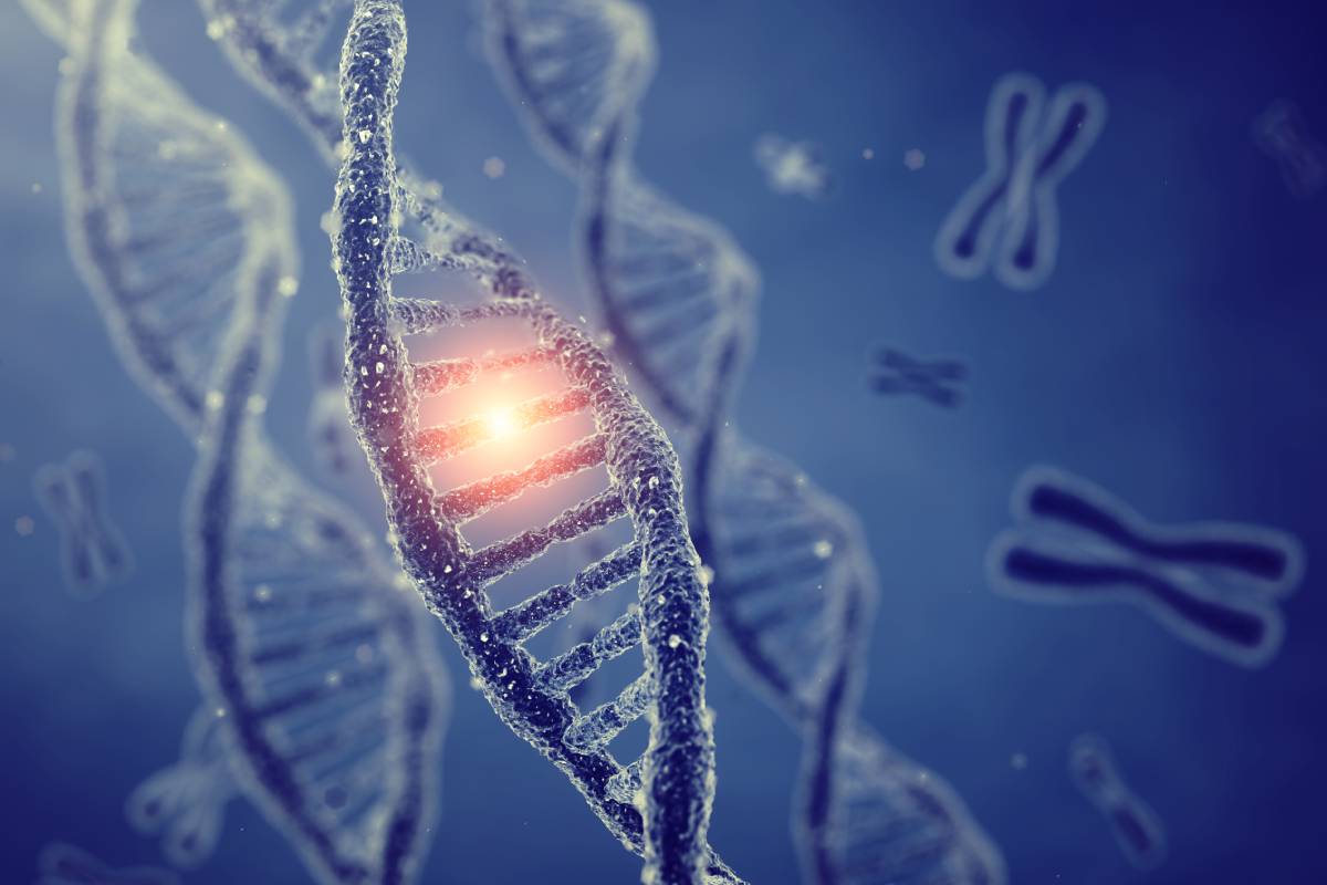 Buscando 'pistas' en el ADN para encontrar a los más vulnerables frente a  la Covid-19 – Xenomica